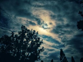 Low angle view of silhouette trees against sky