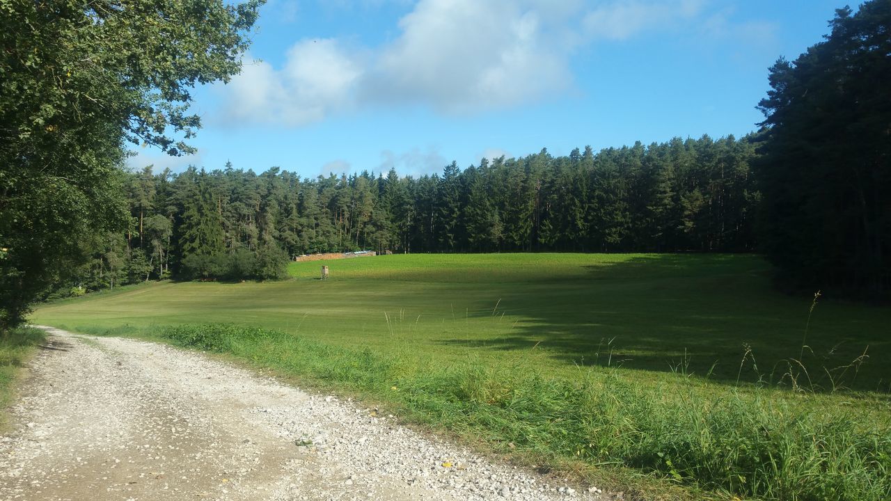 SCENIC VIEW OF LAND AGAINST SKY