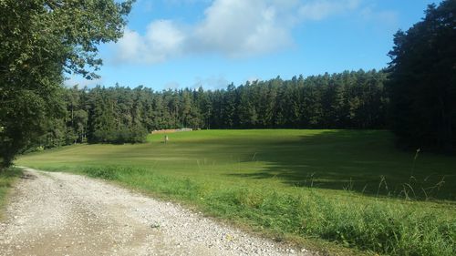 Scenic view of landscape against sky