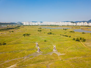 Scenic view of field against blue sky