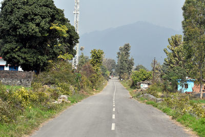 Road amidst trees and plants