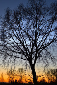 Silhouette bare trees on field against sky during sunset