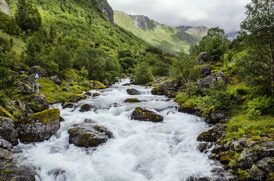 Scenic view of waterfall in forest