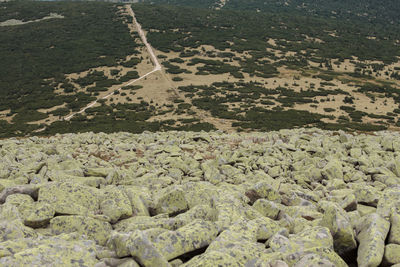 High angle view of land