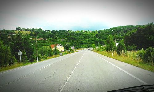 Empty road along trees