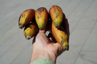 Close-up of hand holding fruit