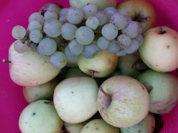 Close-up of fruits