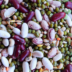 Full frame shot  of various dried legumes