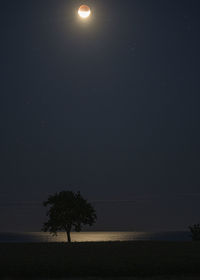 Silhouette trees on field against clear sky at night