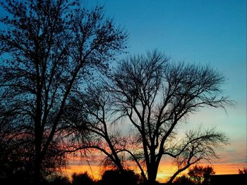 Low angle view of silhouette bare trees against clear sky