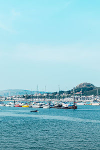 Sailboats in sea against clear sky