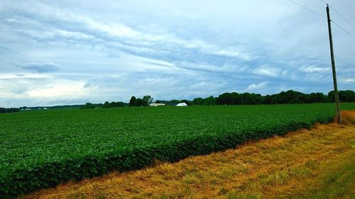 Scenic view of grassy field against cloudy sky