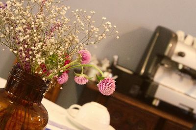 Close-up of pink flowers