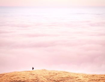 Walking above the fog