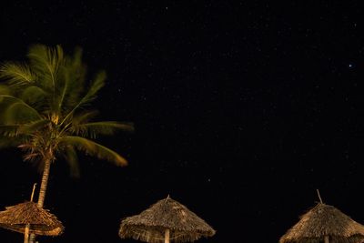 Low angle view of coconut palm tree against sky at night