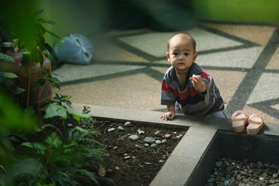 High angle view of boy playing with potted plant