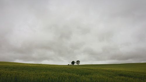 Scenic view of agricultural field against storm clouds