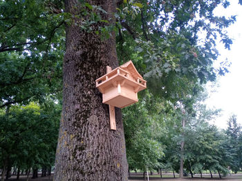 Low angle view of birdhouse on tree in forest