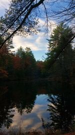 Reflection of trees in lake