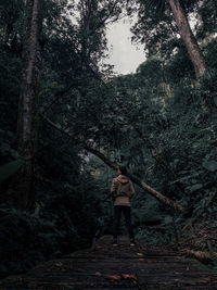 Jungle explorer