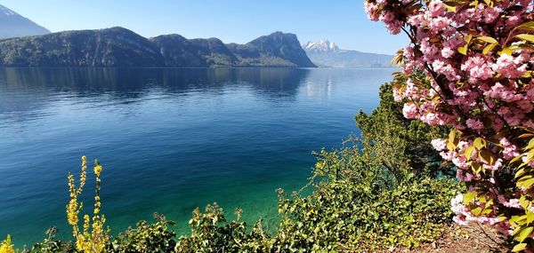 Scenic view of lake and mountains against sky