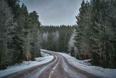 Road amidst trees in forest during winter