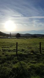 Scenic view of grassy field against sky