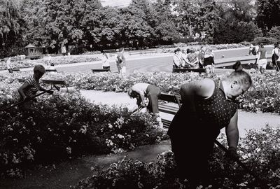 Girl standing by plants against trees