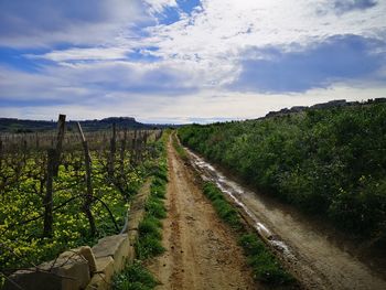 Dirt road amidst field against sky