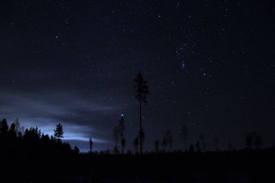 Low angle view of silhouette trees against sky at night