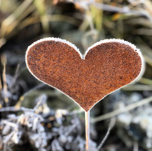 Close-up of heart shape decoration