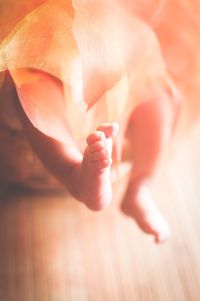 Close-up low section of baby feet