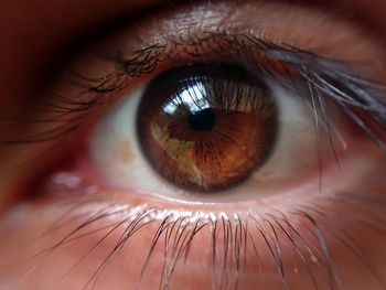 Extreme close-up of human eye