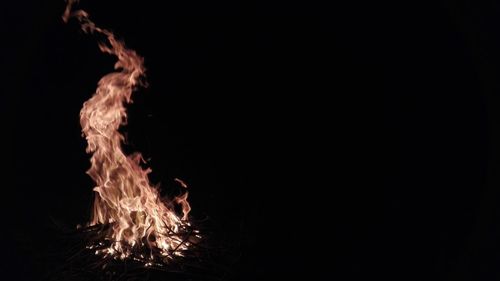 Close-up of fire against black background