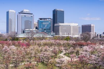 Flowers growing on modern buildings in city against sky