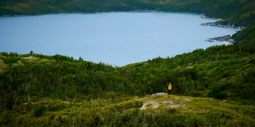 Rear view of woman sitting on grassy field by lake