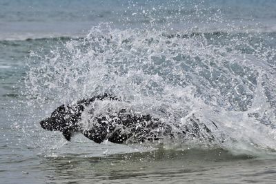 Water splashing in sea