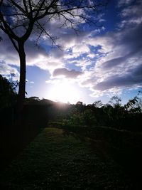 Silhouette trees on field against sky during sunset