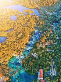 High angle view of trees by lake during autumn