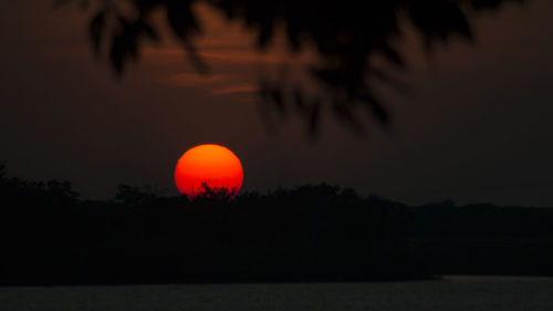 Silhouette trees against sky during sunset