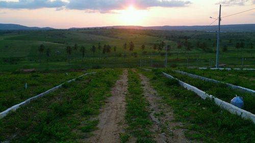 Scenic view of grassy field against sky