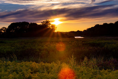 Scenic view of field against sky during sunset