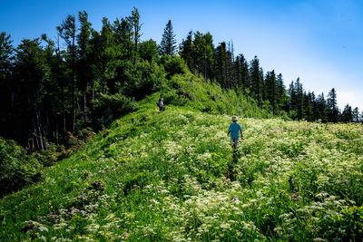 A child and mother hiking on the top of the mountain in spring