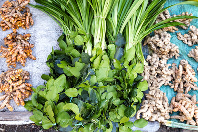 High angle view of vegetables