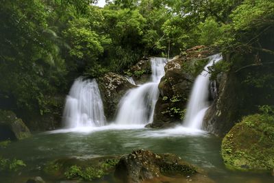Scenic view of waterfall in forest