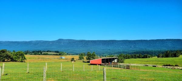 Scenic view of field against clear blue sky