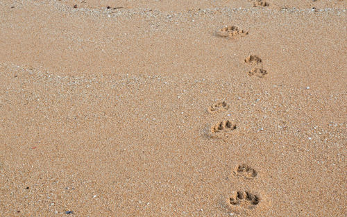 High angle view of footprints on sand at beach