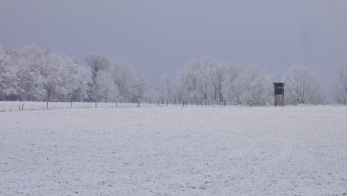 Trees on snow covered field against clear sky