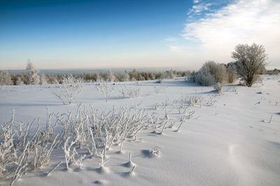 Frosty day on the top of the mountain