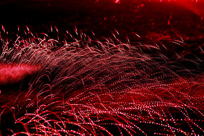 Close-up of illuminated firework display at night